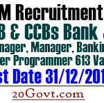 RICEM-Recruitment-2015-Manager-Banking-Asst-Computer-Programmer-613-Posts
