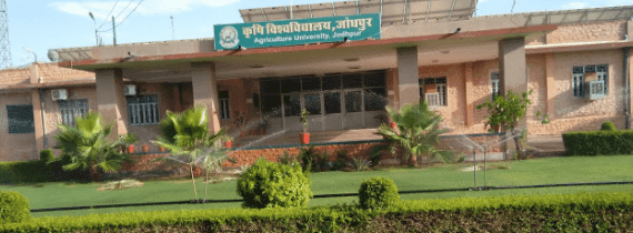 Agriculture_University,_AU_Jodhpur_building-570x210